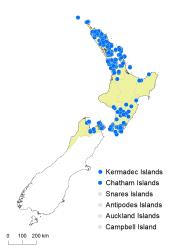 Adiantum diaphanum distribution map based on databased records at AK, CHR & WELT.
 Image: K.Boardman © Landcare Research 2020 CC BY 4.0